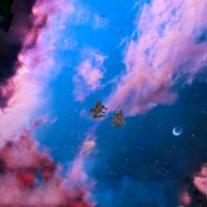 Mini butterfly earrings